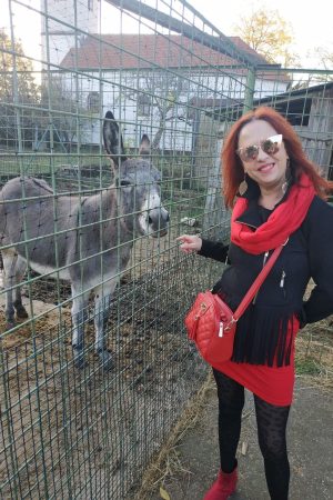 Stéphanie - rencontre-Milf-Besançon
